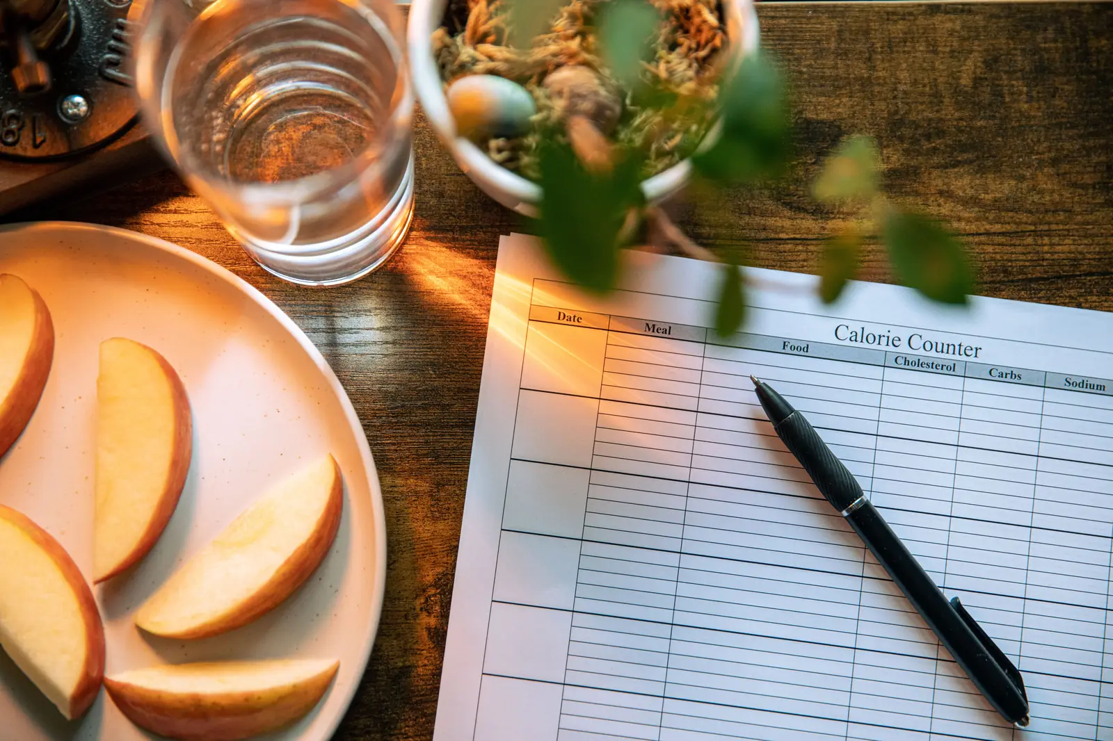 A calorie counter sheet beside apple slices and water